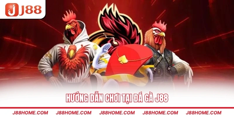 Hướng dẫn chơi tại đá gà J88