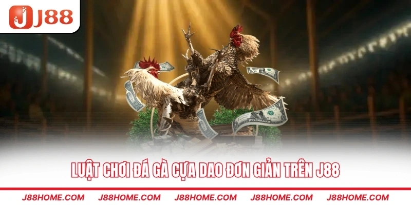 Luật chơi đá gà cựa dao đơn giản trên J88