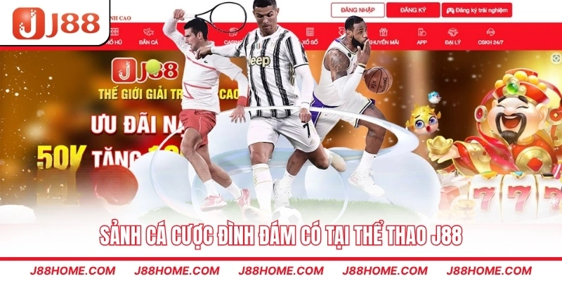 Sảnh cá cược đình đám có tại thể thao J88